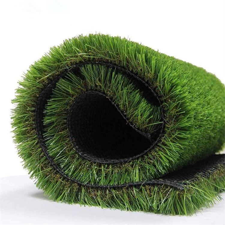 grass 1 (3) grass 1 (3)